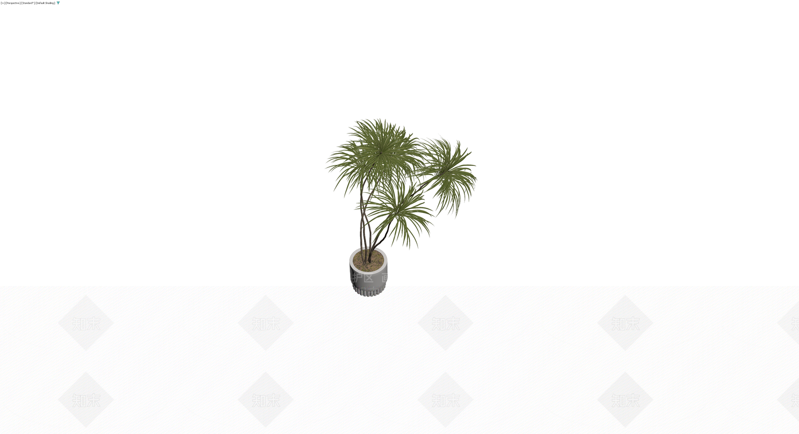 盆栽植物组合3D模型下载【ID:1230586873】