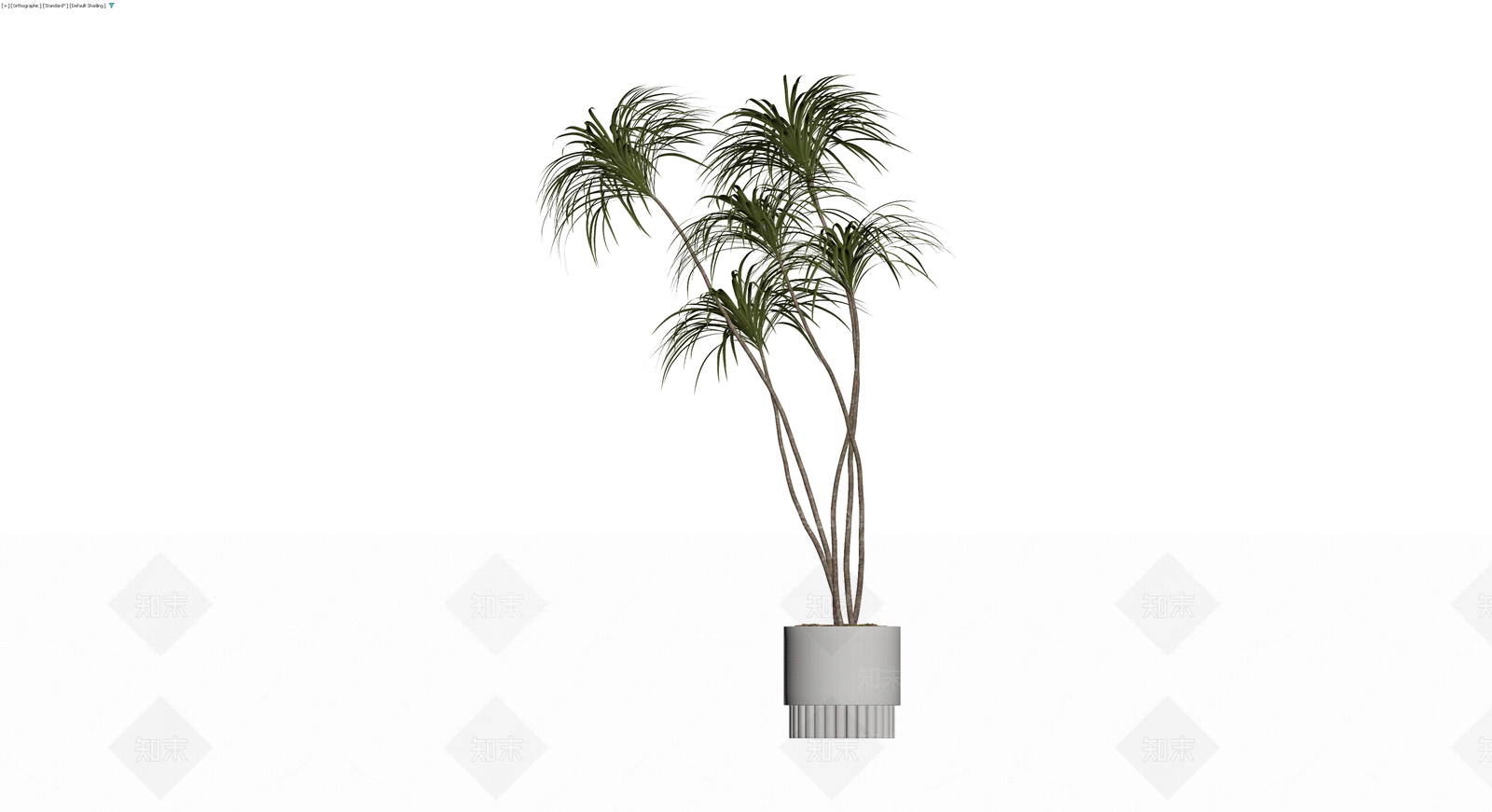 盆栽植物组合3D模型下载【ID:1230586873】
