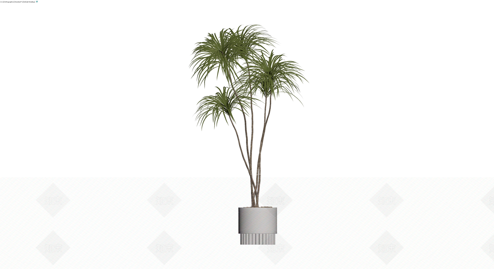 盆栽植物组合3D模型下载【ID:1230586873】
