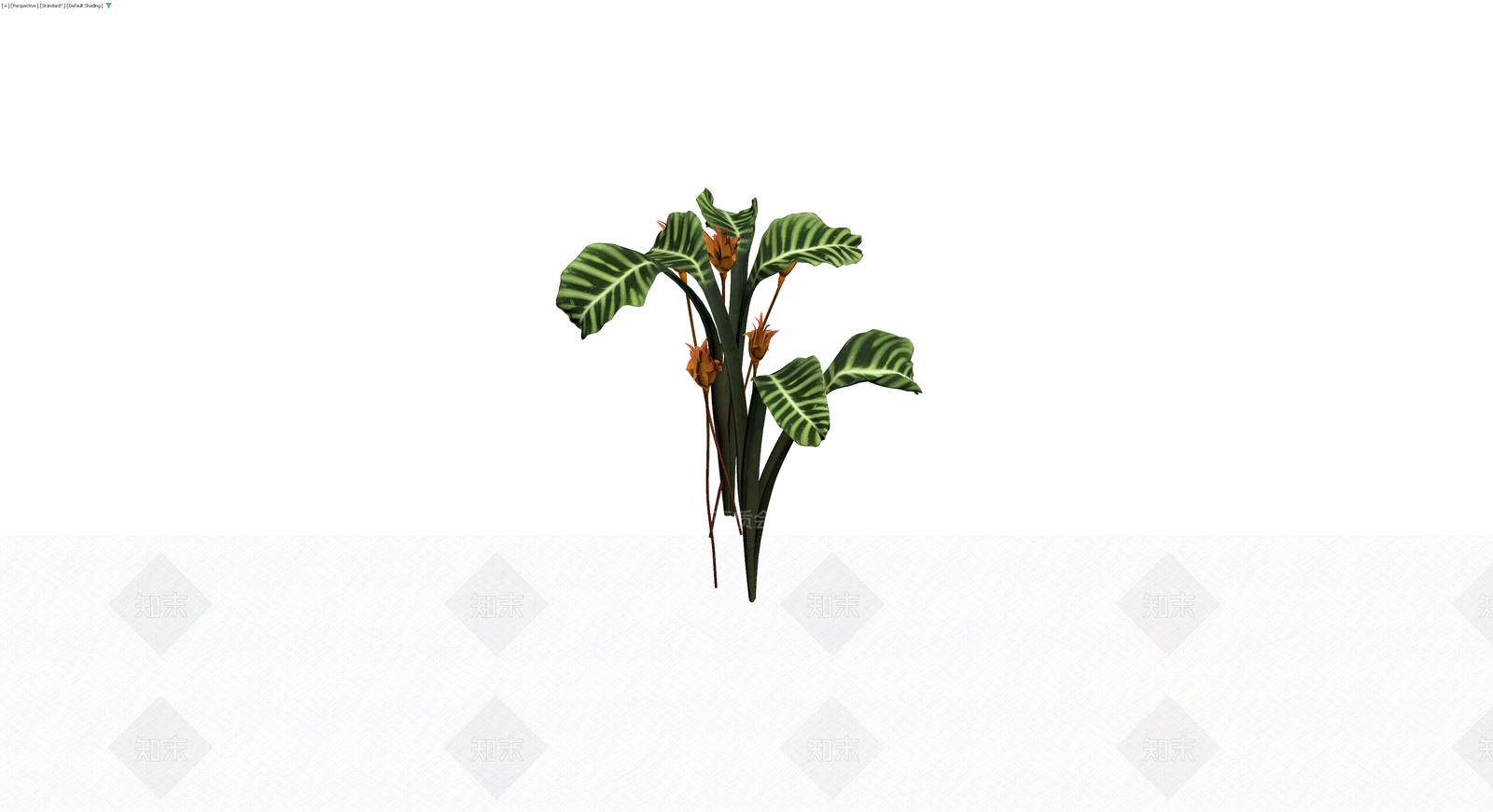 条纹叶植物花卉组合3D模型下载【ID:1230167291】