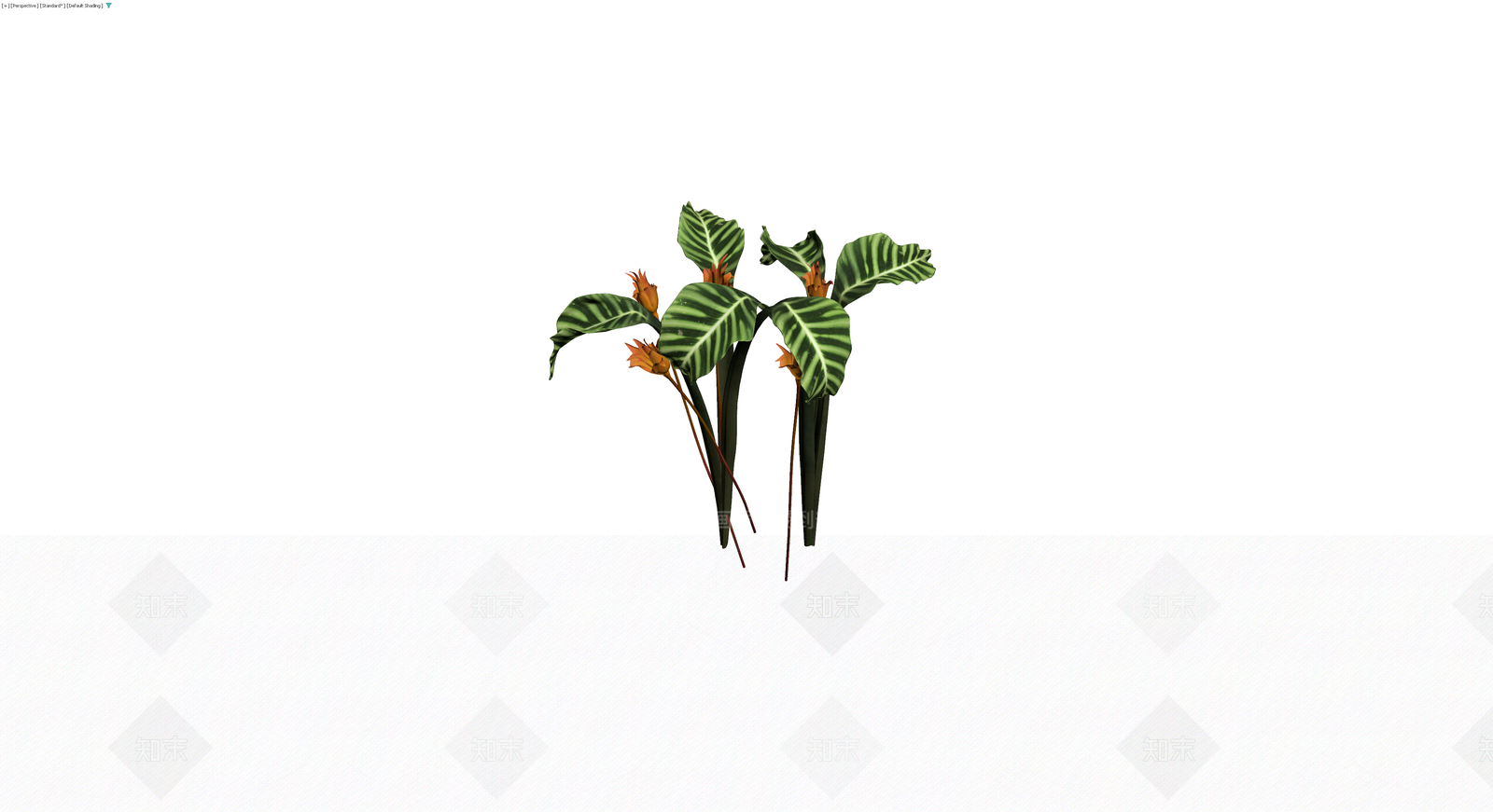 条纹叶植物花卉组合3D模型下载【ID:1230167291】