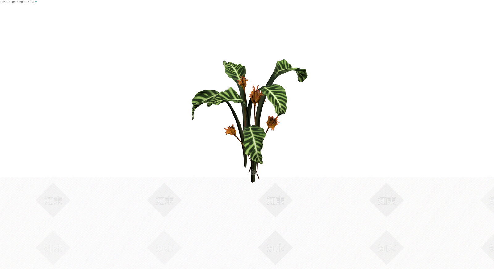 条纹叶植物花卉组合3D模型下载【ID:1230167291】