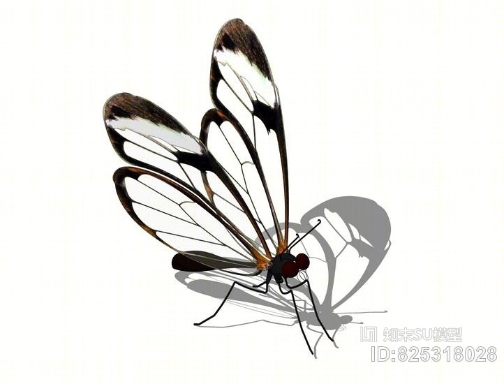 蝴蝶SU模型下载【ID:825318028】