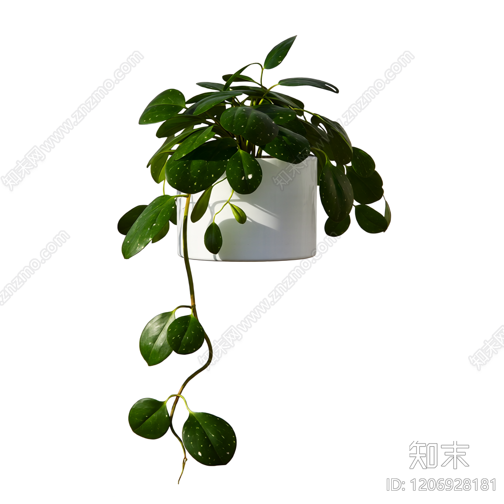 盆栽植物带花盆3D模型下载【ID:1206928181】