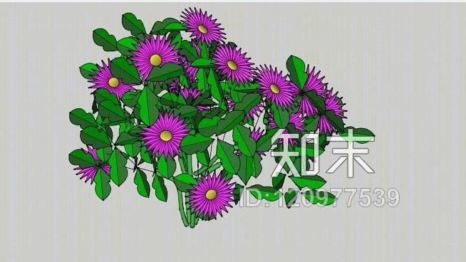 雏菊SU模型下载【ID:120977539】