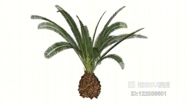 棕榈树04SU模型下载【ID:122056601】