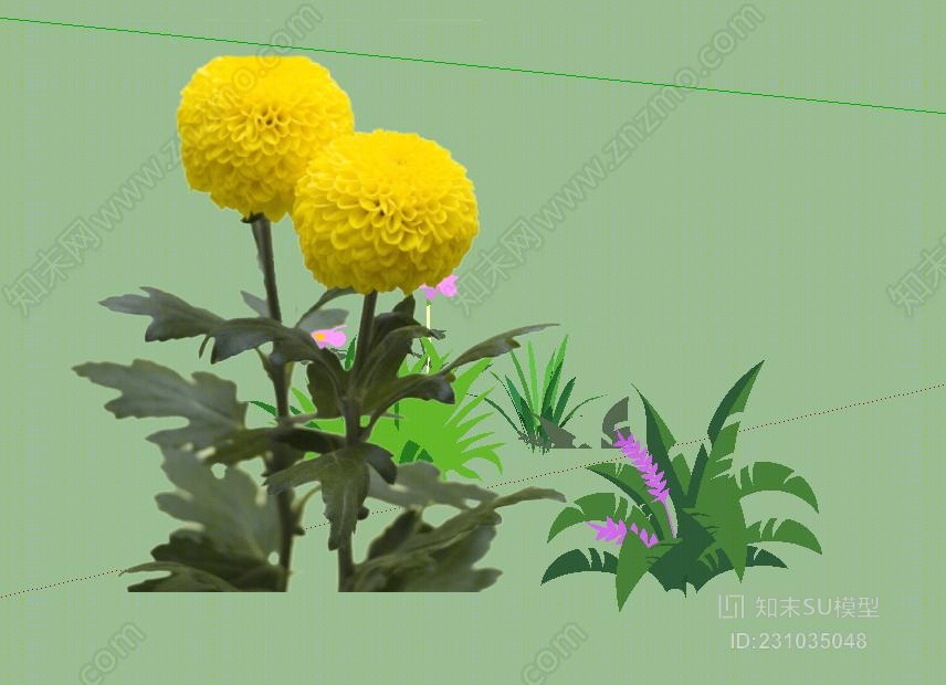 菊花模型SU模型下载【ID:231035048】