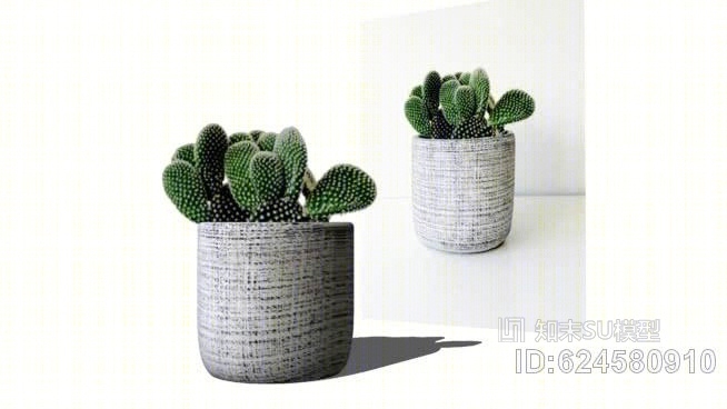 仙人掌迷你花瓶SU模型下载【ID:624580910】
