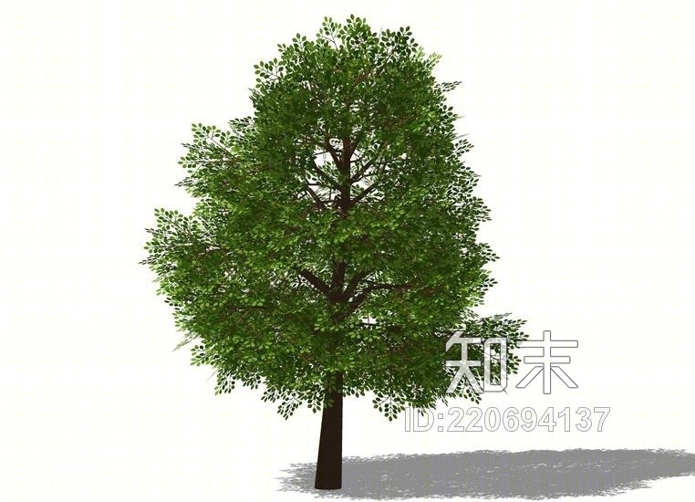 3D植物树SU模型下载【ID:220694137】