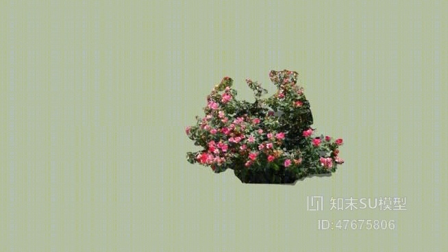 花SU模型下载【ID:47675806】