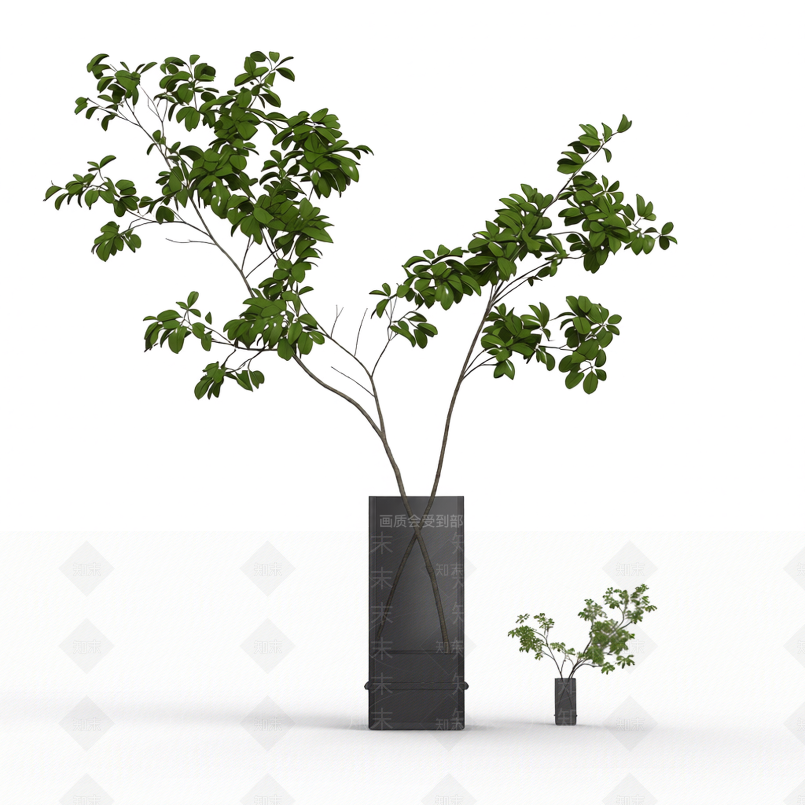 带盆绿植盆栽3D模型下载【ID:1206204217】