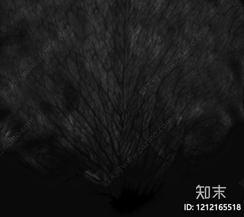 动物皮毛贴图下载【ID:1212165518】