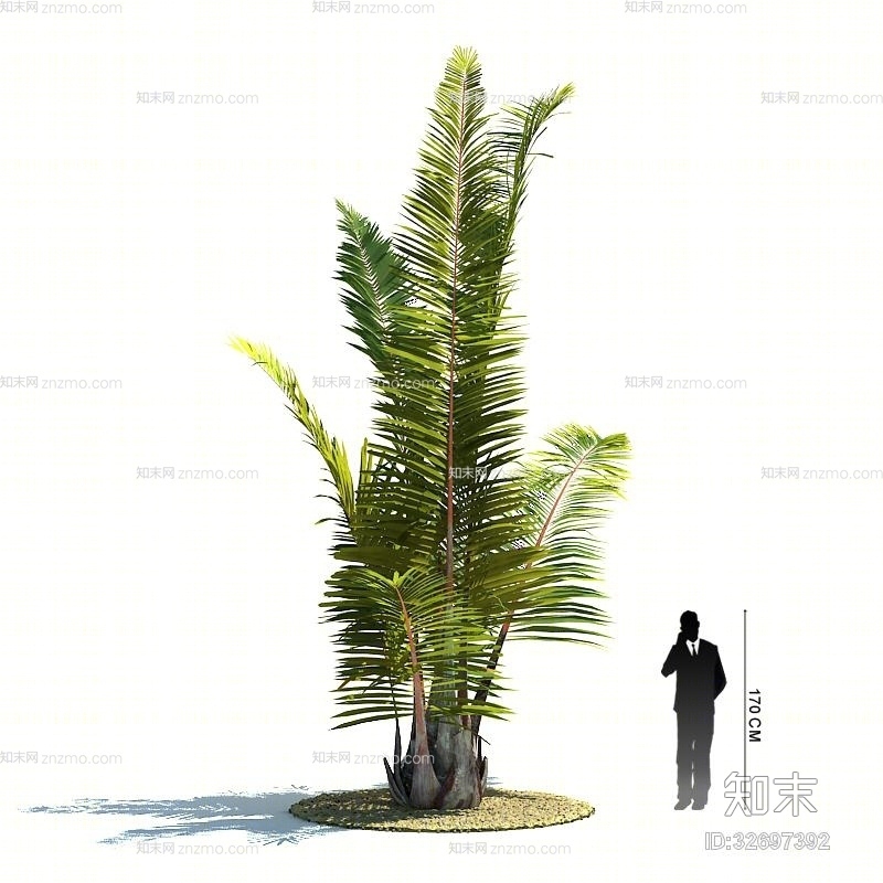 绿色景观树3D模型下载【ID:32697392】