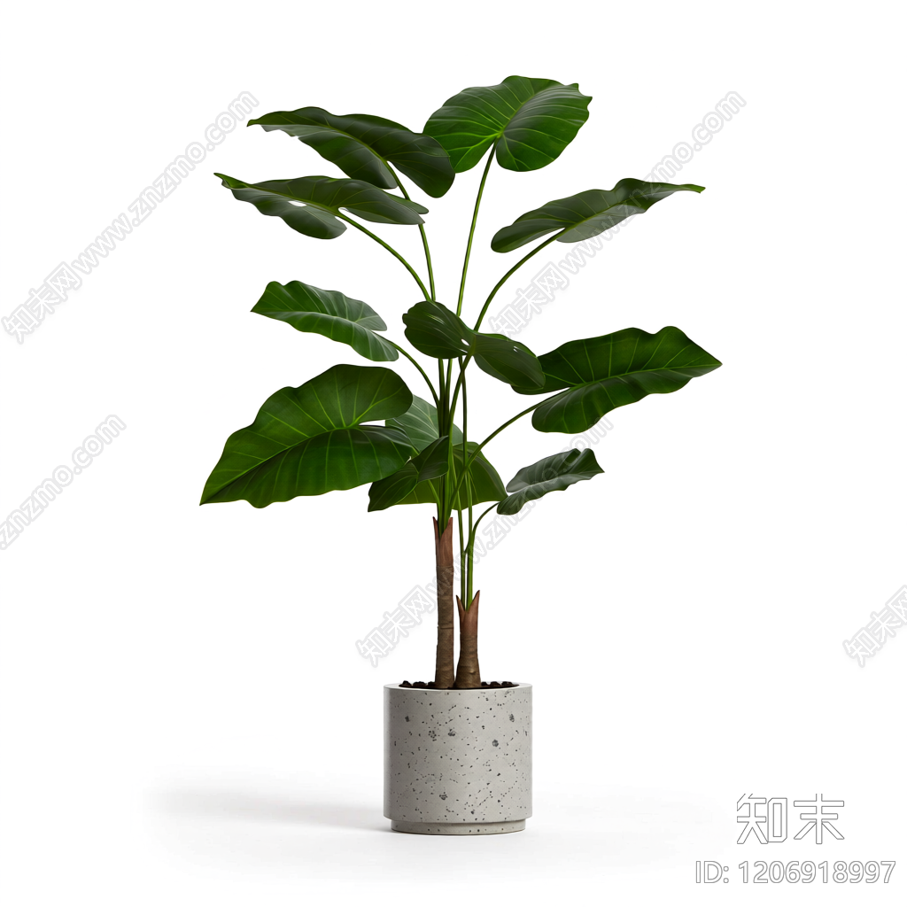 盆栽植物装饰3D模型下载【ID:1206918997】