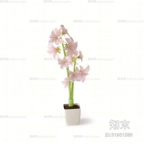粉色盆栽3D模型下载【ID:31951586】