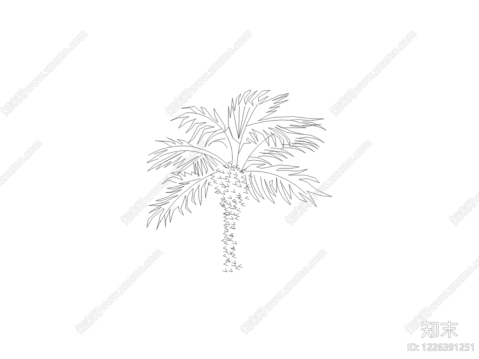 乔木种植CAD图纸