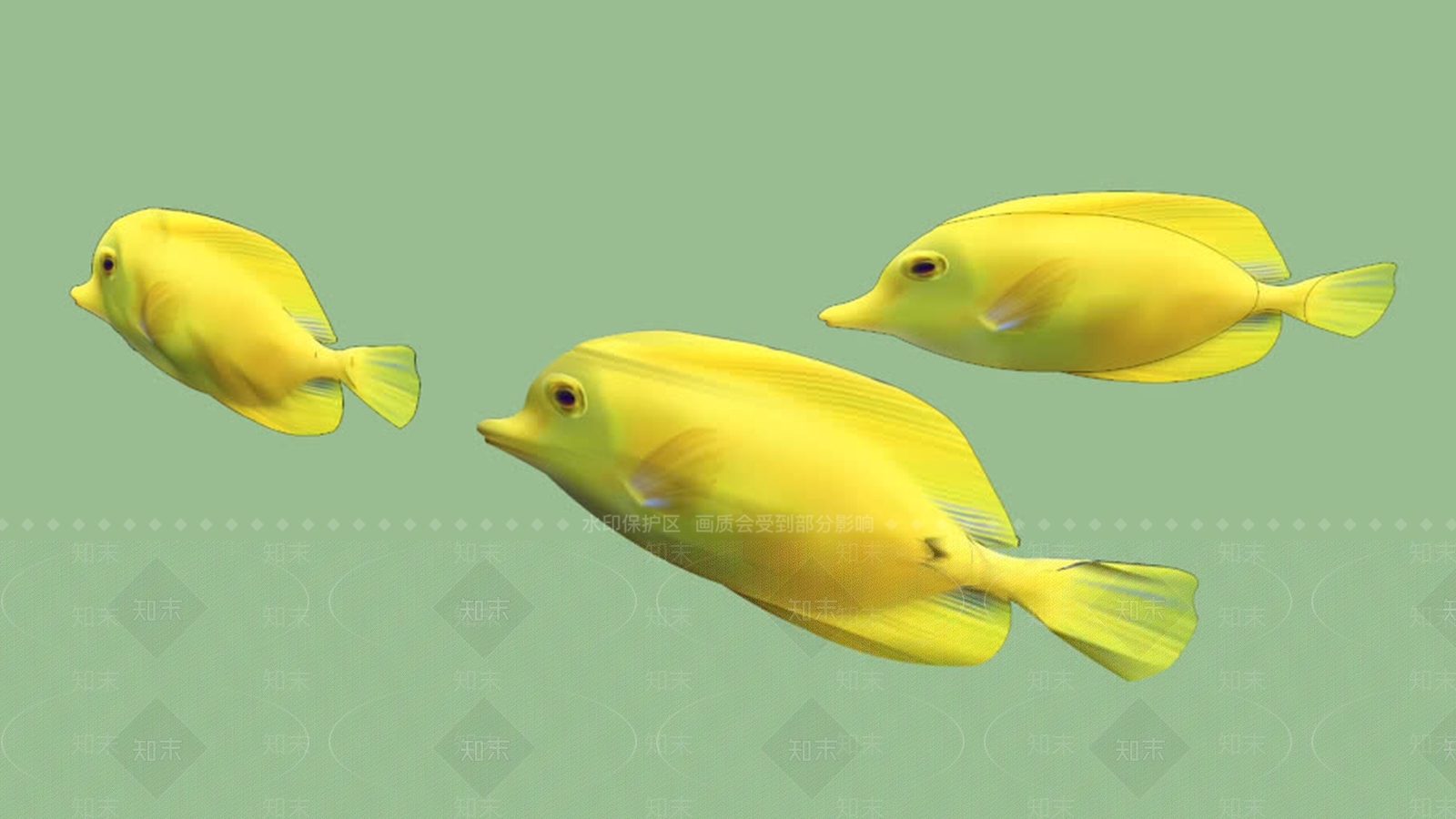 2D和3D鱼SU模型下载【ID:1162062020】