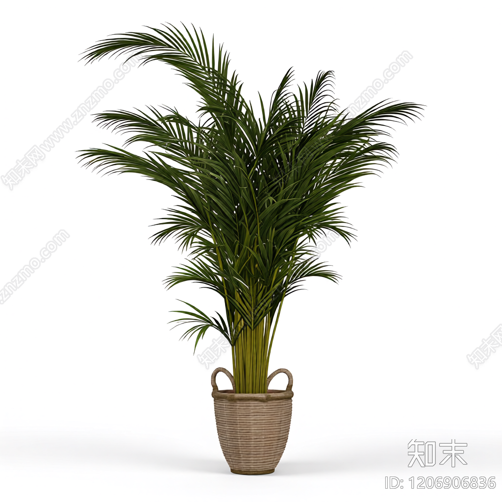盆栽棕榈植物3D模型下载【ID:1206906836】