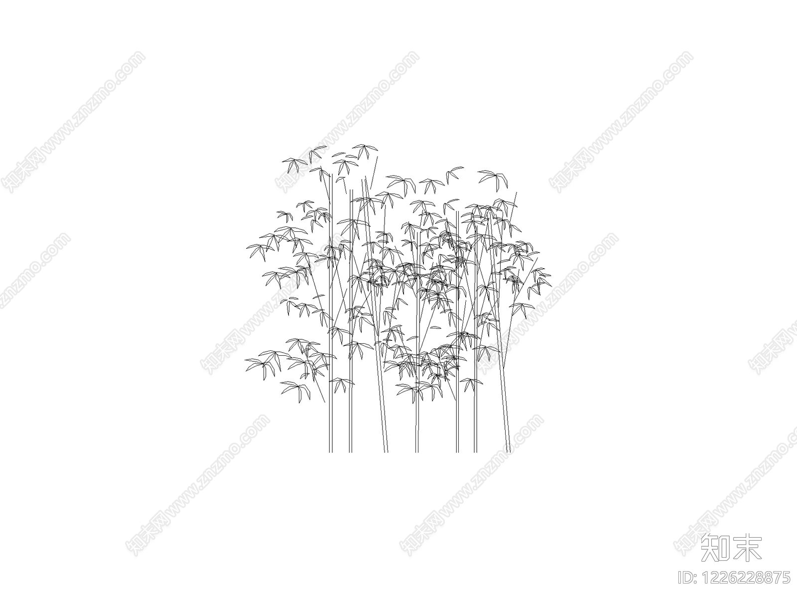 现代乔木种植CAD图纸