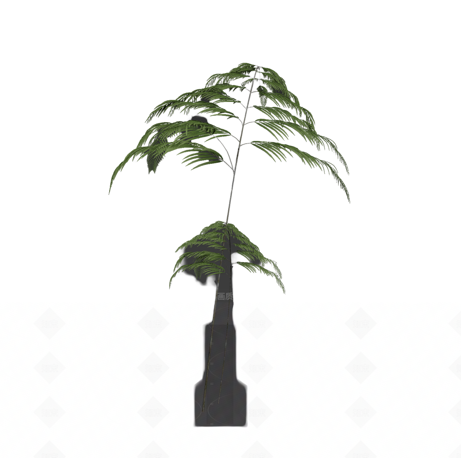 带盆绿色蕨类植物3D模型下载【ID:1206194456】