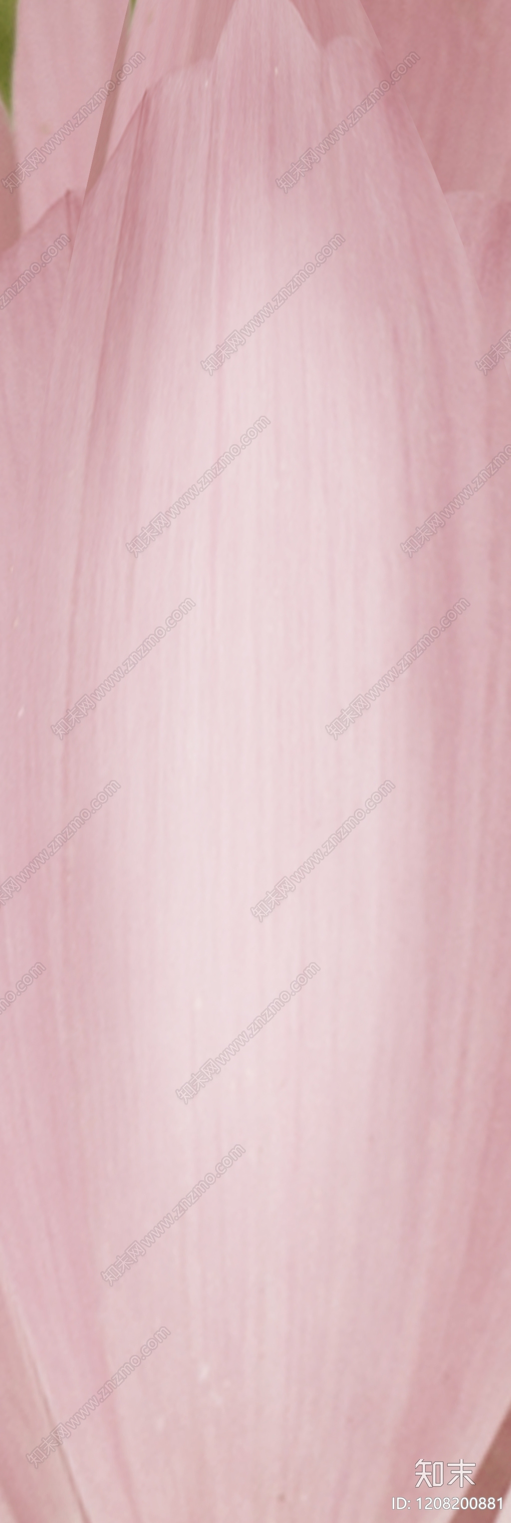 其他乳胶漆贴图下载【ID:1208200881】