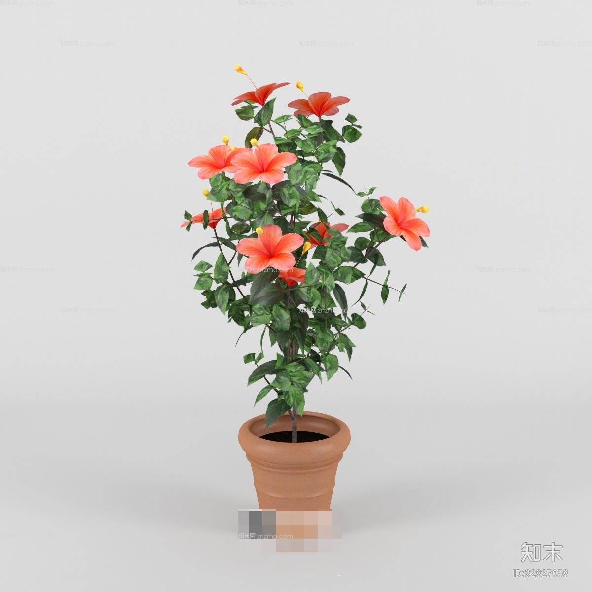 现代花草花卉3D模型下载【ID:32827058】