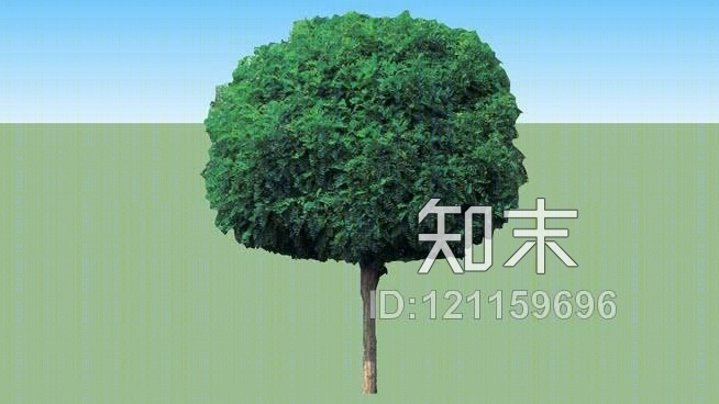 阿拉伯树胶SU模型下载【ID:121159696】