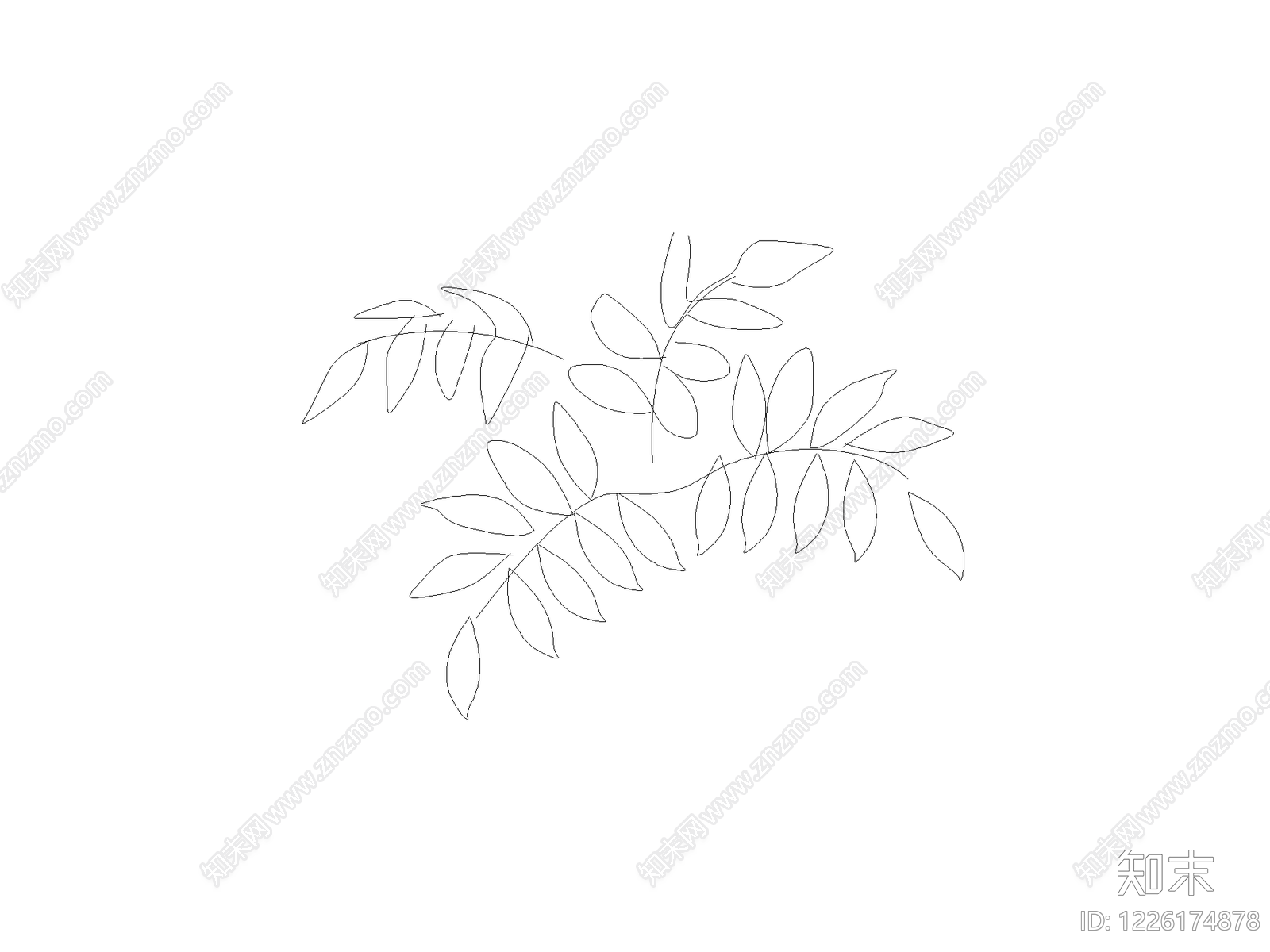 乔木种植CAD图纸