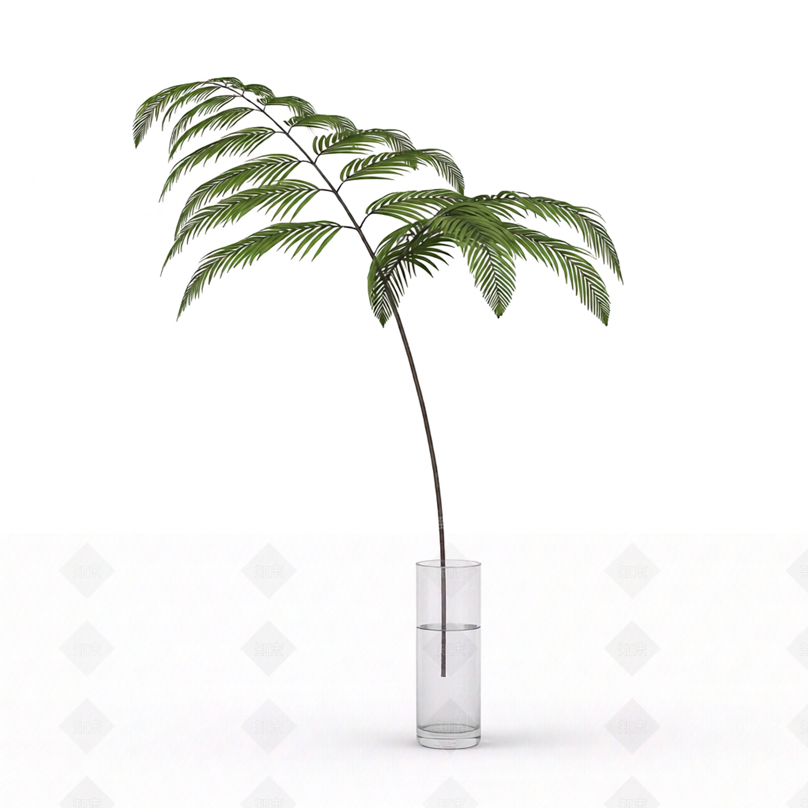 带盆绿植模型3D模型下载【ID:1206186794】