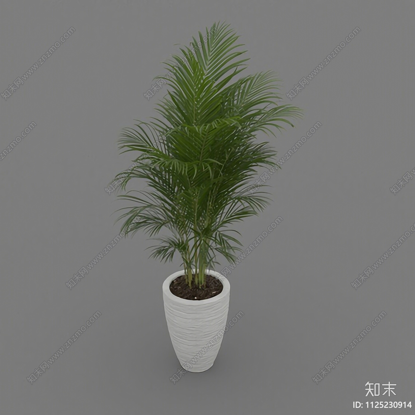 北欧简约绿植盆栽3D模型下载【ID:1125230914】