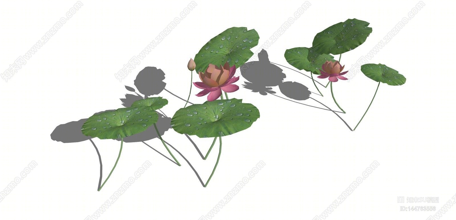 中式荷花SU模型下载【ID:144763556】