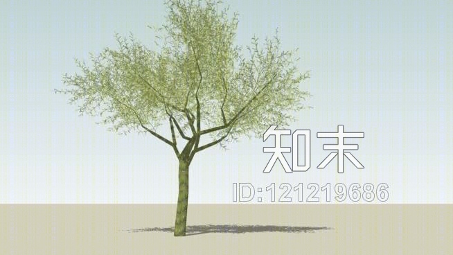 三维三维树SU模型下载【ID:121219686】