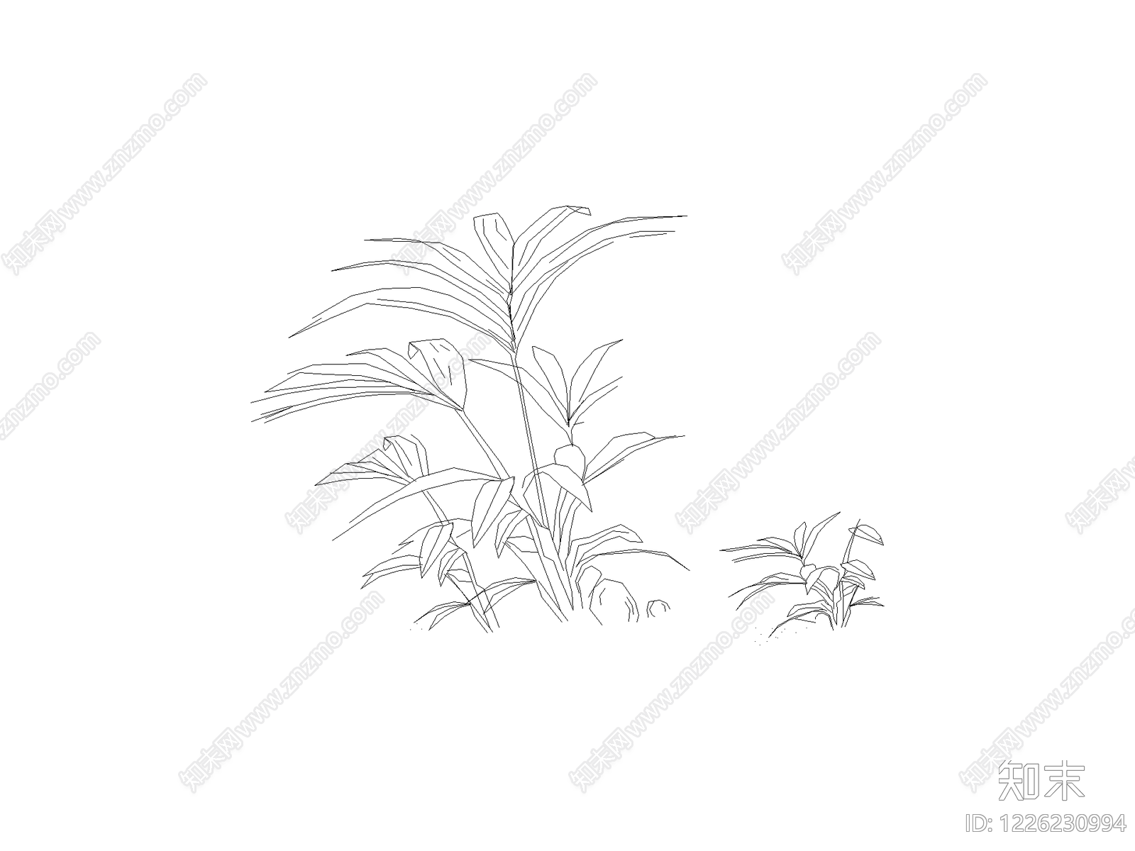常用植物图例cad施工图下载【ID:1226230994】