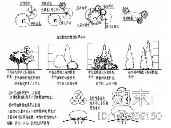 [沈阳]文化商业区植物种植施工图施工图下载【ID:165596190】