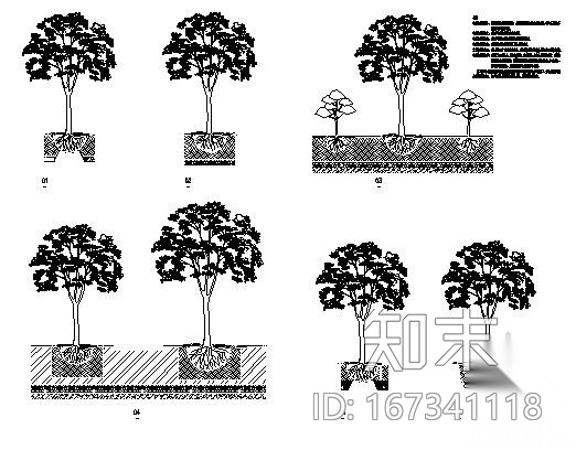 居住区景观轴线园林工程施工图施工图下载【ID:167341118】