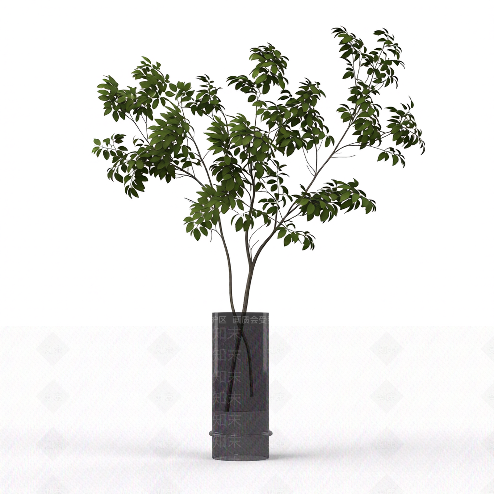 带盆绿植盆栽3D模型下载【ID:1206188346】