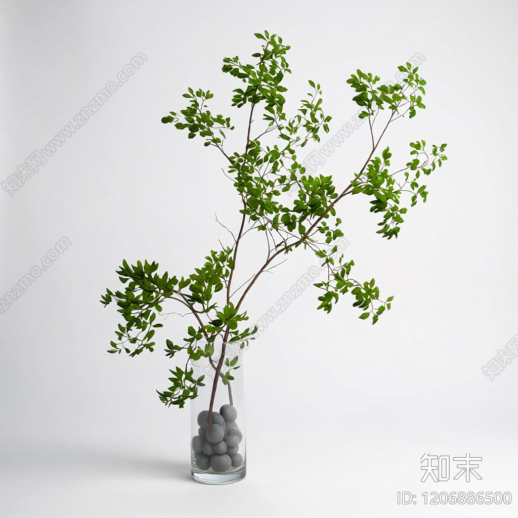 盆栽植物装饰3D模型下载【ID:1206886500】