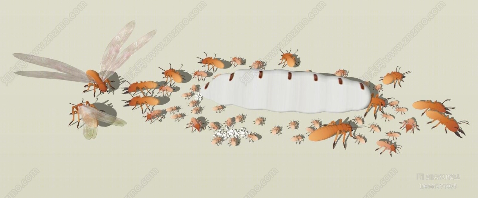 昆虫SU模型下载【ID:643076095】