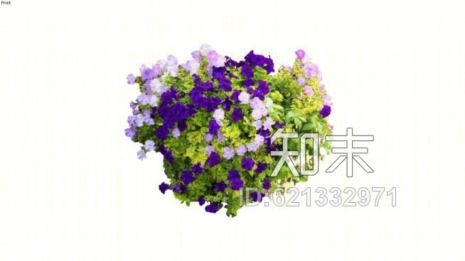 容器种植——一年生植物、盆栽、夏季展示SU模型下载【ID:621332971】
