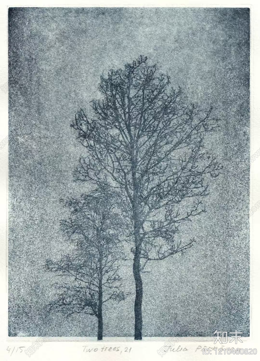 枝干纹理贴图下载【ID:1210480820】