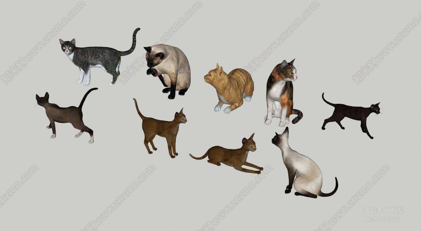 其他风格猫SU模型下载【ID:350953088】