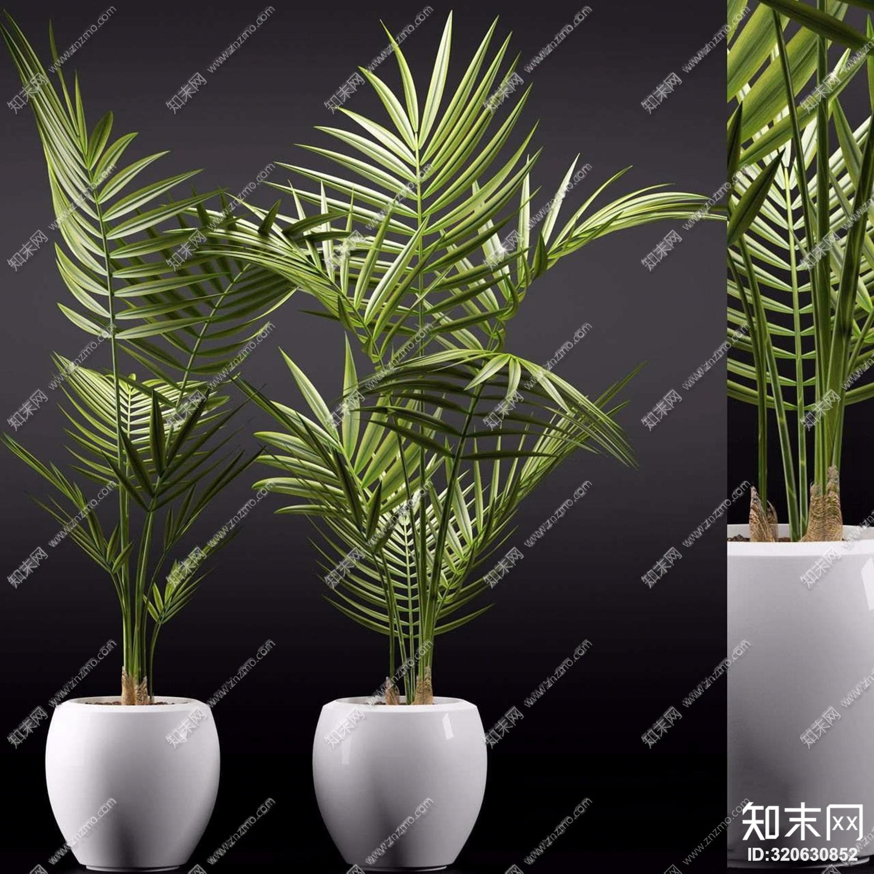 現代植物盆栽組合3d模型下載