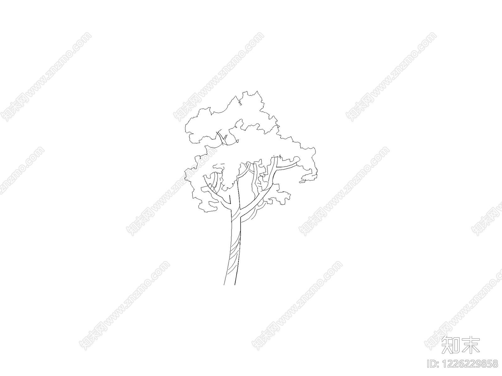 现代乔木种植CAD图纸