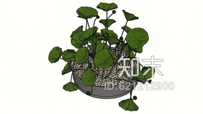 装饰植物SU模型下载【ID:621212900】