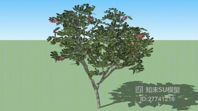 树SU模型下载【ID:27741216】