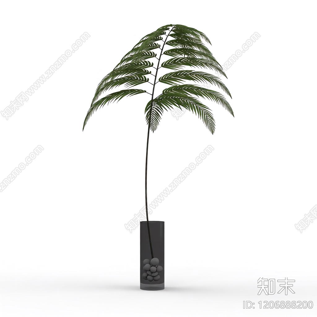 盆栽蕨类植物3D模型下载【ID:1206888200】