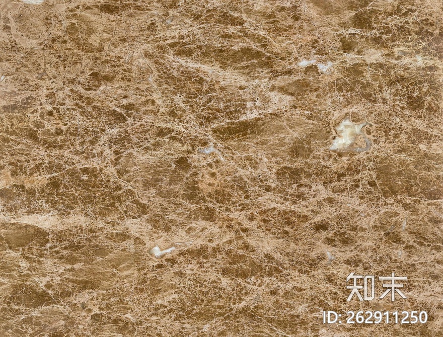 皇家金啡.jpg贴图下载【ID:262911250】