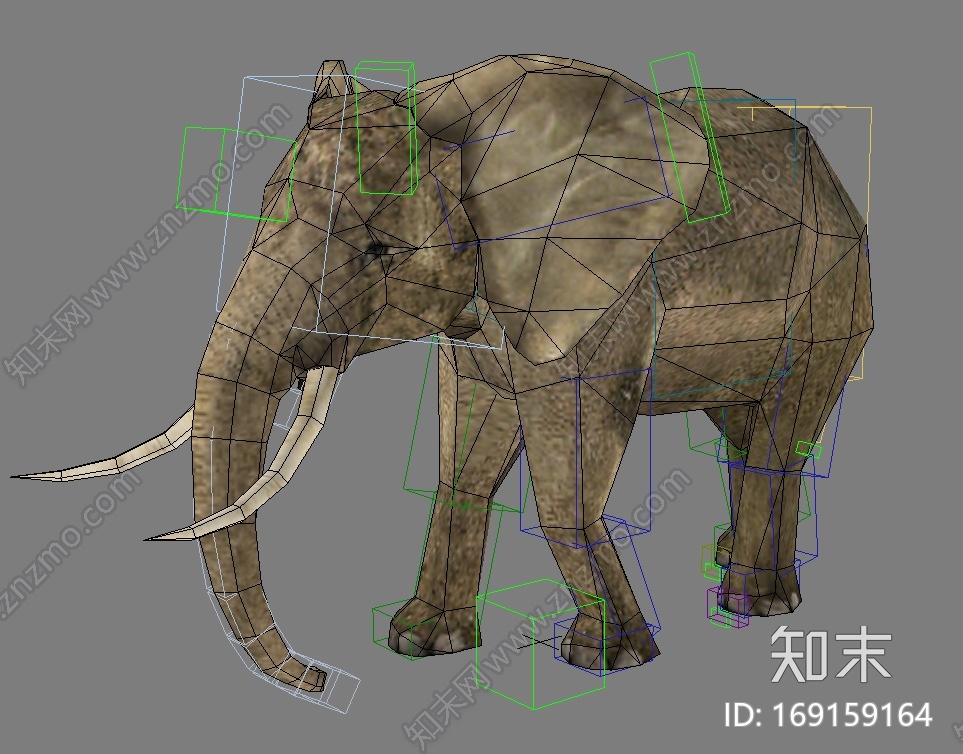 大象連骨架CG模型下载【ID:169159164】