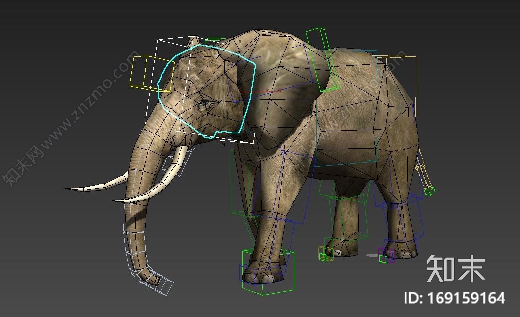 大象連骨架CG模型下载【ID:169159164】