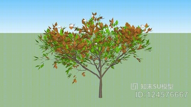 三维广玉兰树SU模型下载【ID:124576667】